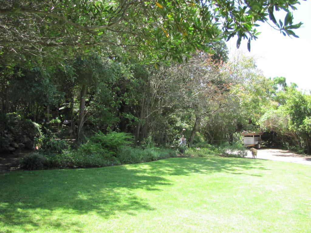 Kingfisher Country House Wilderness Exterior photo